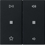 Gira 5384005 Wippe 2-fach Audiosteuerung System 55 Schwarz matt 