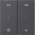 Gira 538428 Wippe 2-fach Audiosteuerung System 55 Anthrazit 