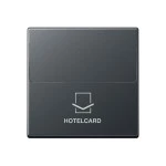 Jung A590CARDANM Hotelcard-Schalter (ohne Taster-Einsatz) Hotelcard Serie A anthrazit matt 