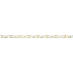 Dotlux 3944-027IP205M LED-Streifen 96W 10mm 2700K IP20 5 Meter-Rolle inkl. 50cm Anschlusskabel beidseitig 