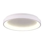 Deko-Light 348186 Deckenaufbauleuchte Merope 400 mm 30,0W 3000/4000 K Weiß 