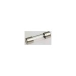 Eska 520.614 G-Sicherungseinsatz F 500mA 5x20mm 10 Stück 