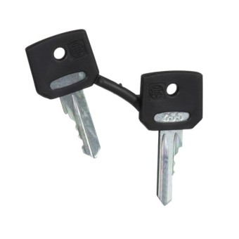 SCHNEIDER ELECTRIC Ersatzschlüssel f 4A185 Schlüsselschalter Verpackungsei... 