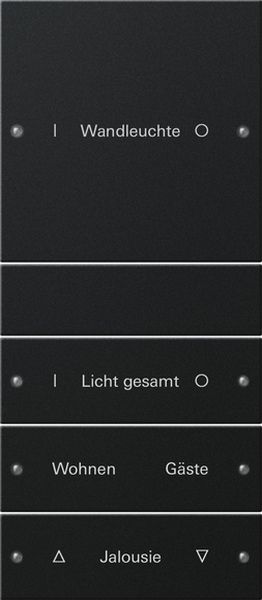 *** Gira 2204005 Wippenset 4-fach (1+3) beschreibbar System 55 Schwarz matt (lackiert) (Bitte denken Sie an die Gira-Konfiguration!)