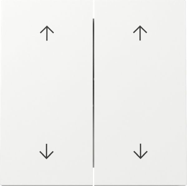 Gira 329770 Wippe 2f Pfeile Flächenschalter Reinweiß (neue Generation)