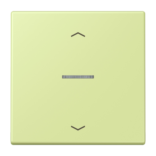 Jung BTLC17101P222 JUNG HOME Taster 1-fach mit Pfeilsymbolen Serie LS vert jaune clair