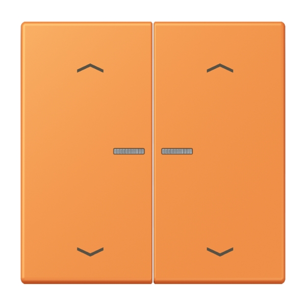 Jung BTLC17102P225 JUNG HOME Taster 2-fach mit Pfeilsymbolen Serie LS orange clair