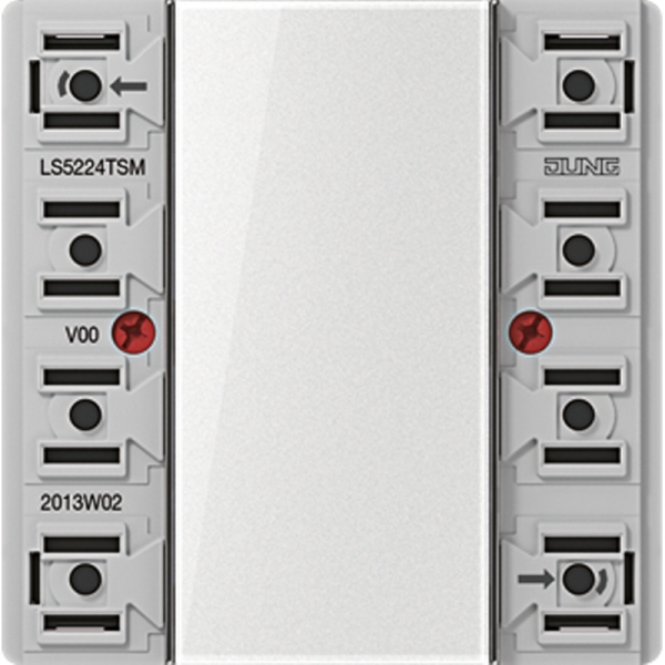 Jung LS5224TSM Tastsensor-Modul 24V AC/DC 20mA 2-kanalig 4 Schaltpunkte Serie LS