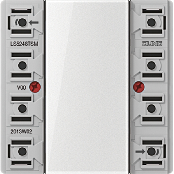 Jung LS5248TSM Tastsensor-Modul 24V AC/DC 20mA 4-kanalig 8 Schaltpunkte Serie LS