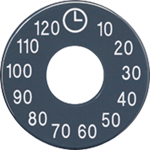 Jung SKS11120-20 Skalenscheibe Symbole 10-120 anthrazit