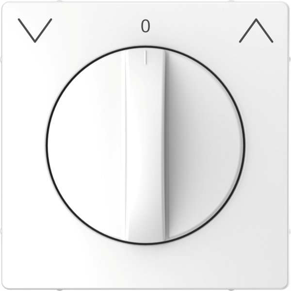 Merten MEG3875-6035 Zentralplatte für Rollladen-Tast-Rastschalter-Einsatz Lotosweiß System Design