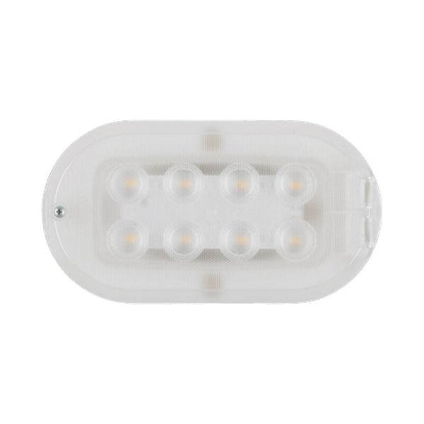 Dotlux 5380-040120 LED Kellerleuchte OVAL 4,5W 4000K IP44